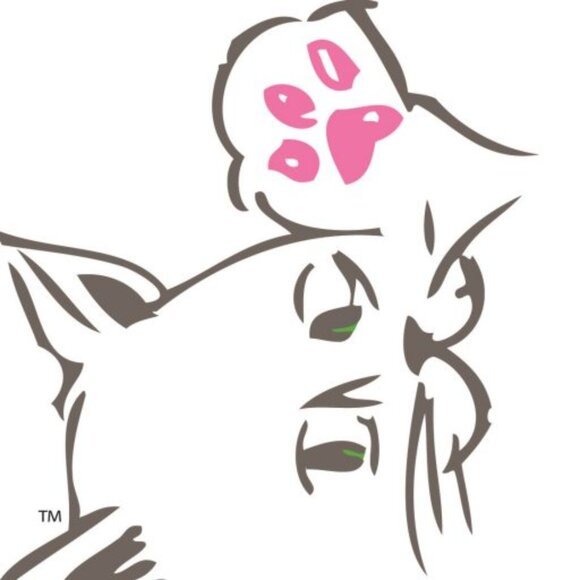 BAREFOOTPETS(tm) NEW! Pet Safety Lead BLACK - Picture 5 of 5